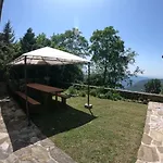 Bozica *